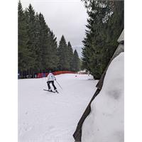 22nd DA & club.da Ski and SB Championships